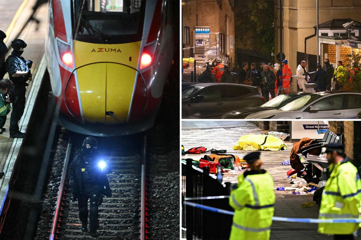 UK train mass stabbing suspect screams ‘kill me, kill me’ as cops arrest him in dramatic video