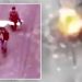 Russia slaughters elderly Ukrainians and dog toting white flag in horrific drone attack