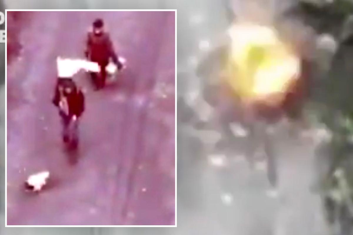 Russia slaughters elderly Ukrainians and dog toting white flag in horrific drone attack
