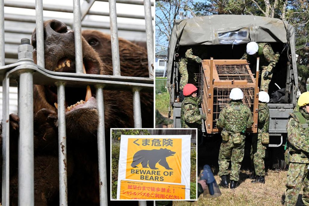 Japan dispatches troops to help combat deadly bear attacks