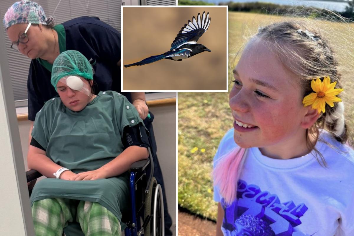 Bird attack leaves girl, 12, fighting to save her sight: ‘Straight to the eye’