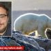 Radar tech mauled to death by polar bears while photographing them at Arctic outpost
