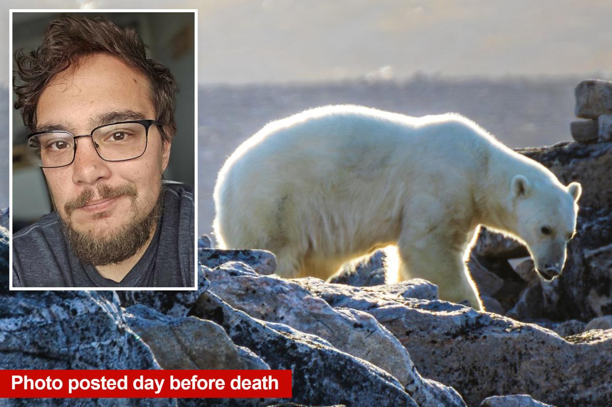 Radar tech mauled to death by polar bears while photographing them at Arctic outpost
