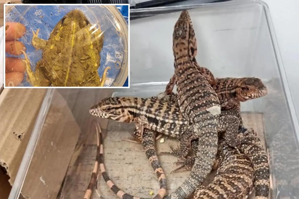 Israeli man busted at Tel Aviv airport allegedly trying to smuggle nearly 200 exotic animals worth thousands in suitcase: photos