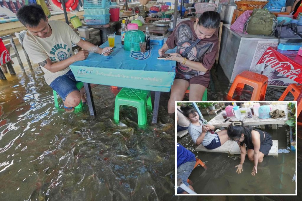 Flooded restaurant in Thailand brings delight with swimming fish among diners