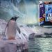 Lawmakers take action to protect penguins ‘trapped’ at popular aquarium