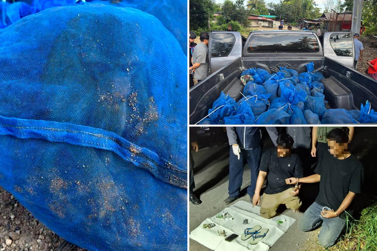 Two men caught smuggling 81 monkeys, meth as part of international smuggling ring, authorities say