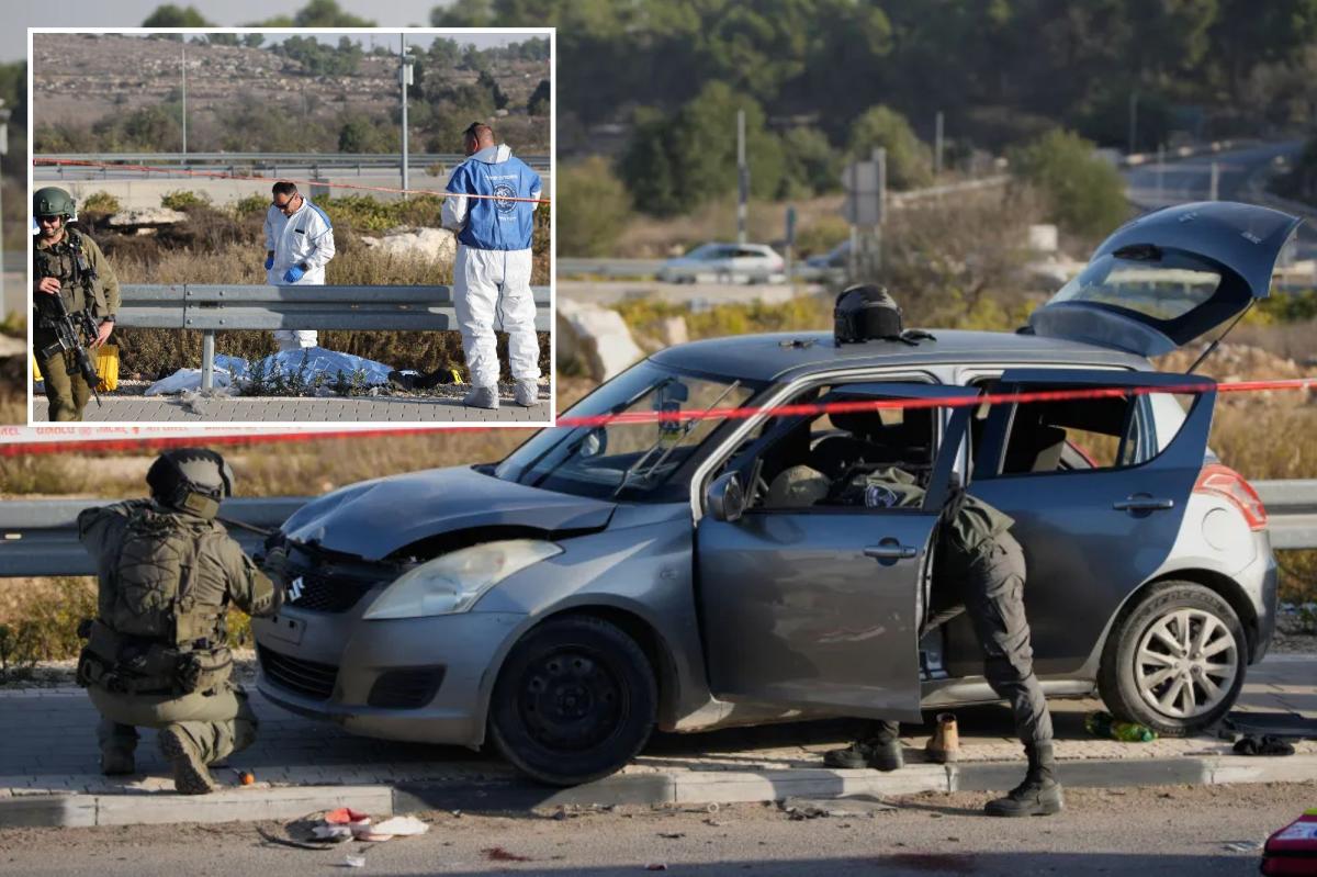 West Bank car-ramming and stabbing attack kills elderly Israeli man, injures 3 others