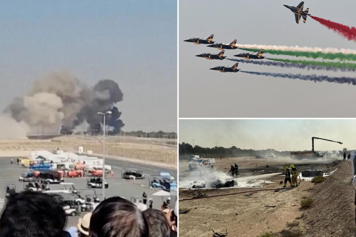 Indian fighter jet crashes at Dubai Air Show, kills pilot
