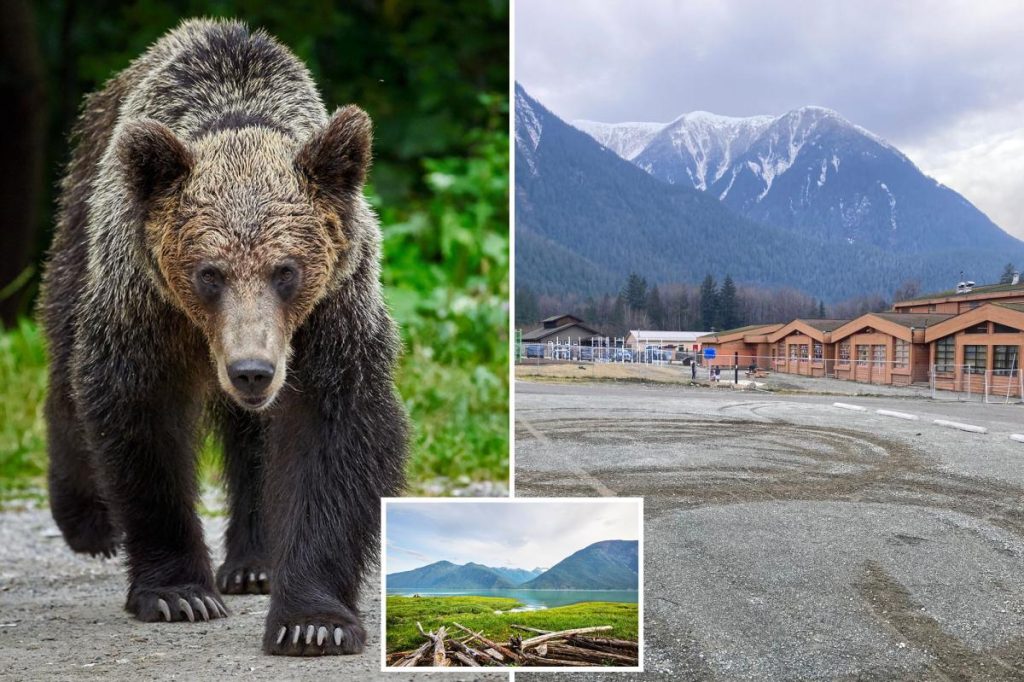 Grizzly bear attacks students, hero teachers who tried to fight it off; 11 injured