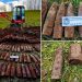 Father and son’s metal detecting trip uncovers historic artillery cache in Czech forest