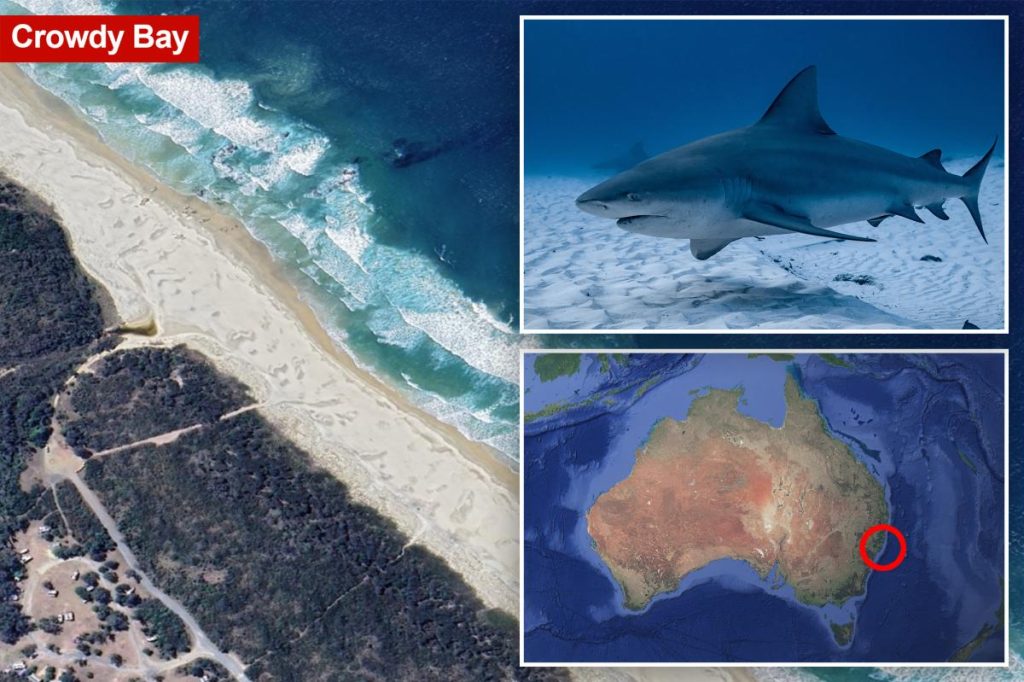 Shark kills woman and seriously wounds another swimmer at Australian beach