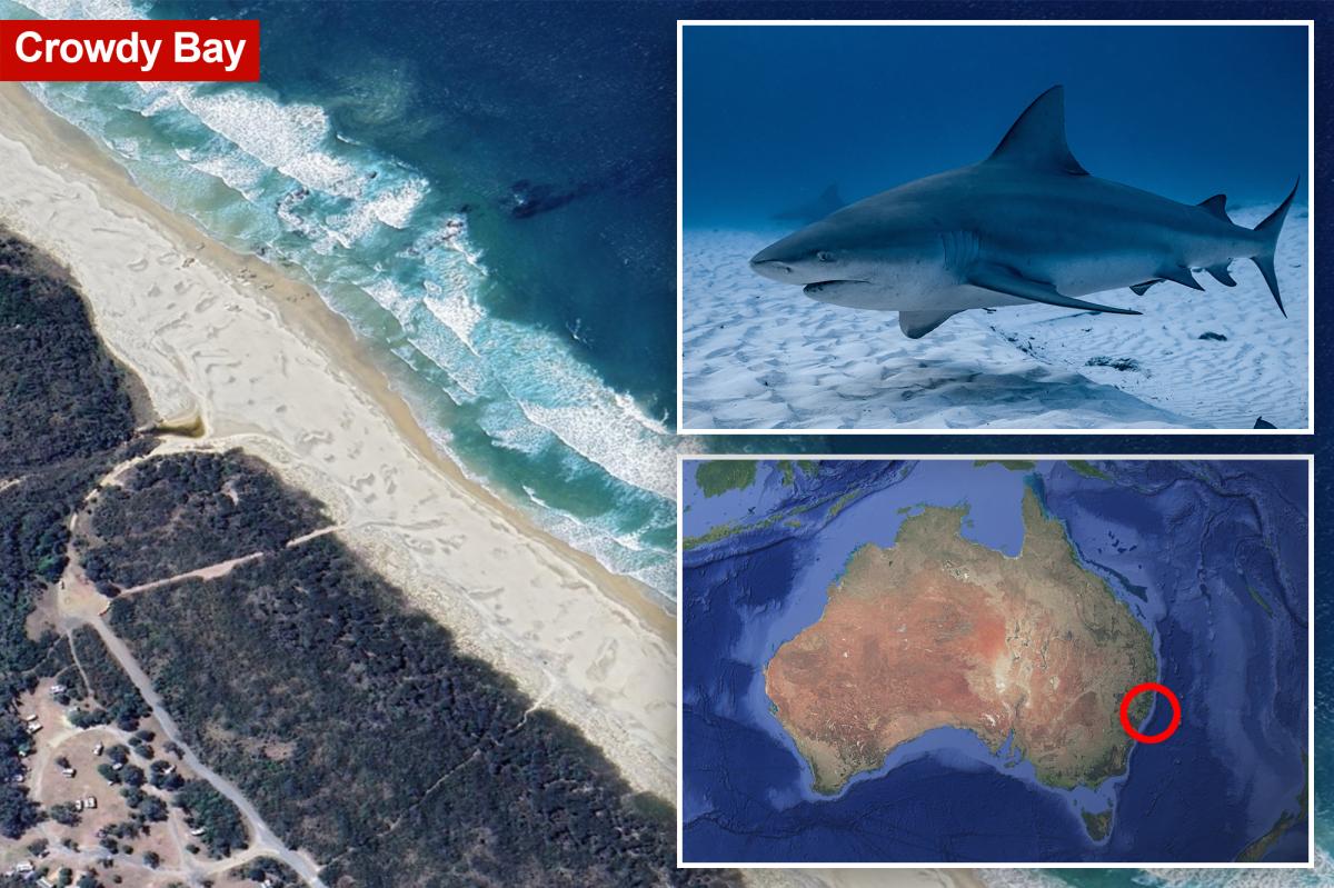 Shark kills woman and seriously wounds another swimmer at Australian beach