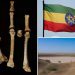 Mystery owner of 3-million-year-old fossilized foot in Africa ID’d: study