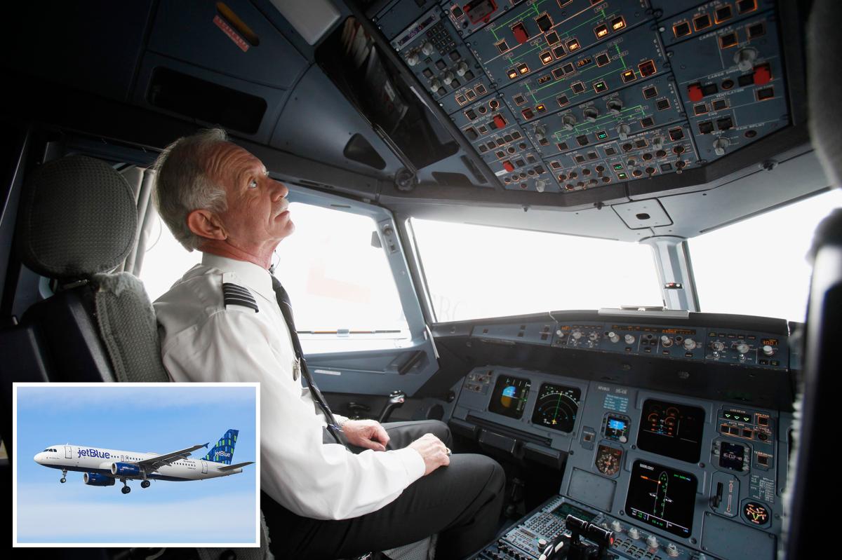 Airbus grounds 6,000 planes for urgent software update after jet suddenly lost altitude mid-flight