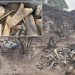 Park rangers discover ‘unusual’ pile of bones on iconic Scotland hill after a wildfire