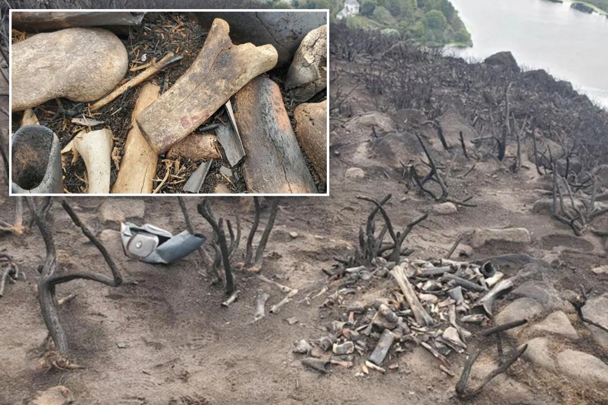 Park rangers discover ‘unusual’ pile of bones on iconic Scotland hill after a wildfire