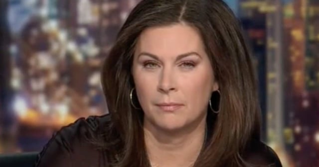 CNN’s Erin Burnett Cuts Off Republican in Heated Epstein Interview