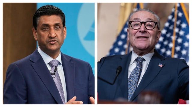 Democratic lawmaker: Schumer ‘should be replaced’