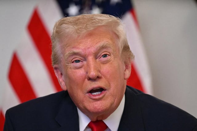 Denmark creates 'night watch' to monitor Donald Trump over Greenland fears