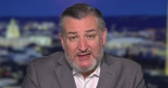 Devastated Ted Cruz Admits Disaster Is Looming for Republicans