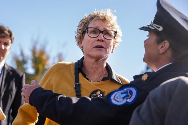 Donald Trump downplays "death" remarks about "seditious" Democrats