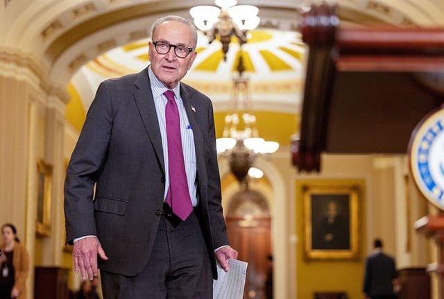 Even establishment Democrats say Chuck Schumer must go