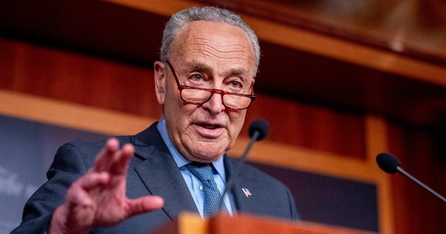 Furious Dem Civil War Immediately Erupts Over Bombshell Shutdown Deal - Democratic activists slammed the shutdown “surrender.”