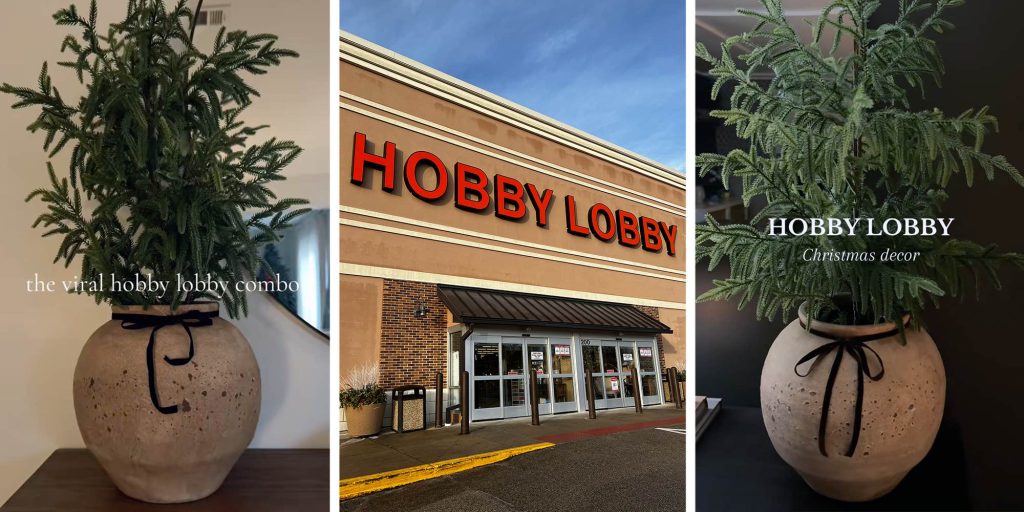 “I’ve been influenced”: Hobby Lobby’s viral minimalist pot sparks shopping frenzy for holiday decorations