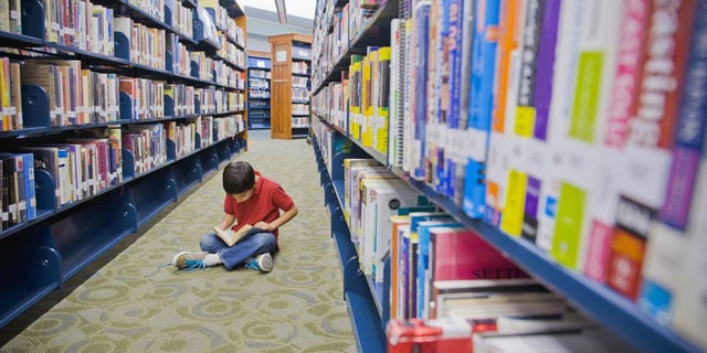 Librarians and Publishers Alarmed as Tennessee Libraries Shut Down for GOP 'Book Purge'