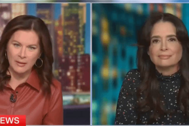 Model turned Epstein girlfriend says she was delivered to Trump to be ‘groped’ | ‘Clearly we are these objects, these trophies,’ Epstein’s former girlfriend said, ‘It’s horrifying’