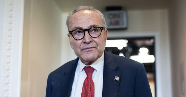 Schumer Begged 2028 Dem Contenders Not to Criticize Shutdown Deal