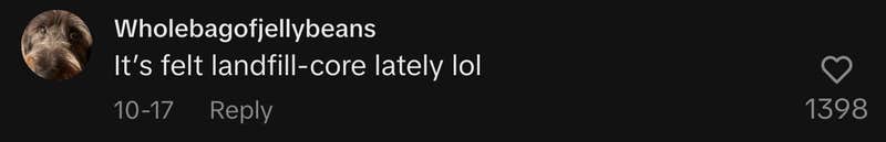 “It’s felt landfill-core lately lol.”
