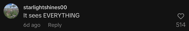 “It sees EVERYTHING.” 