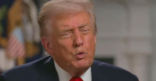 Trump, 79, Claims Nobody Knows What a Magnet Is: ‘Now, nobody knows what a magnet is. If you don’t have a magnet, you don’t have a car.’