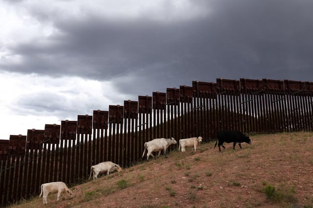 Trump admin says beef prices could hit $10 per pound because of migrants