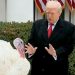 Trump jokes about naming pardoned turkeys "Chuck and Nancy," calls Illinois governor a "big, fat slob"