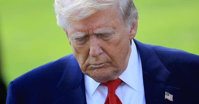 Trump’s Niece Torches Him Over ‘Despicable’ Piggy Insult to Female Reporter | Mary Trump said it would be an insult to pigs to call her uncle one.