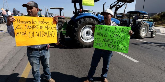 Why Aren't American Farmers Protesting in the Streets?: Perhaps farmers in the United States should look south, to Mexico specifically, for guidance on what they should do to improve their economic situation.