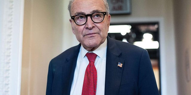 Why Aren’t Any Senate Democrats Calling On Schumer to Step Down? | Despite outcry from progressives, no Democrats in the Senate have yet expressed support for replacing Schumer as leader.