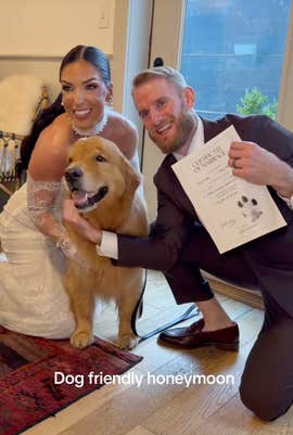 @wally.meets.world/TikTok dog at a wedding with onscreen text "dog friendly honeymoon."