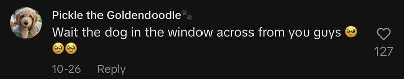 “Wait the dog in the window across from you guys 🥹🥹🥹.”