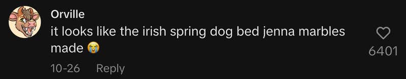 “It looks like the Irish Spring dog bed Jenna Marbles made 😭.”