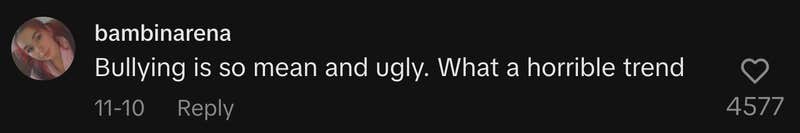 “Bullying is so mean and ugly. What a horrible trend.”