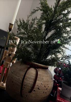 pov its november first hobby lobby viral tree