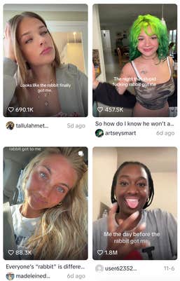 tiktok screenshot of videos saying the rabbit got me