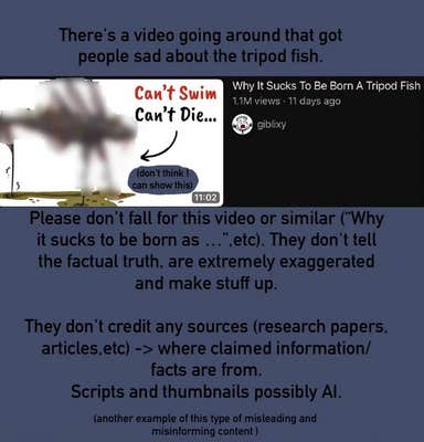 TikTok slideshow explaining that videos claiming tripod fish are miserable are inaccurate.