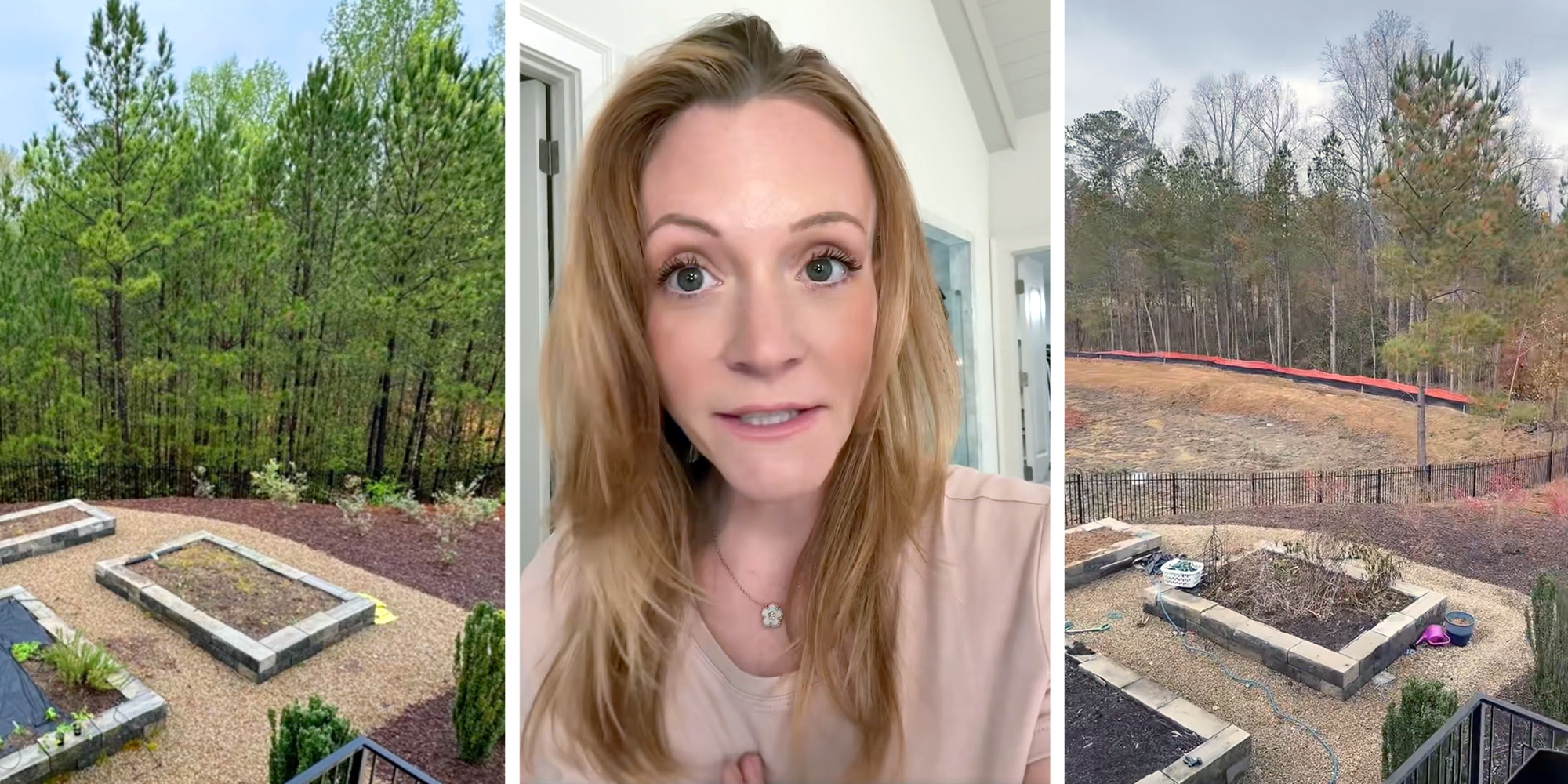 tree law womans neighbor bulldozes all trees in backyard