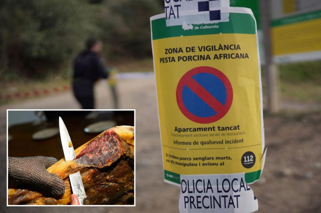 Spanish military sets up ‘exclusion zone’ to contain African swine fever — that may have started from a tainted sandwich