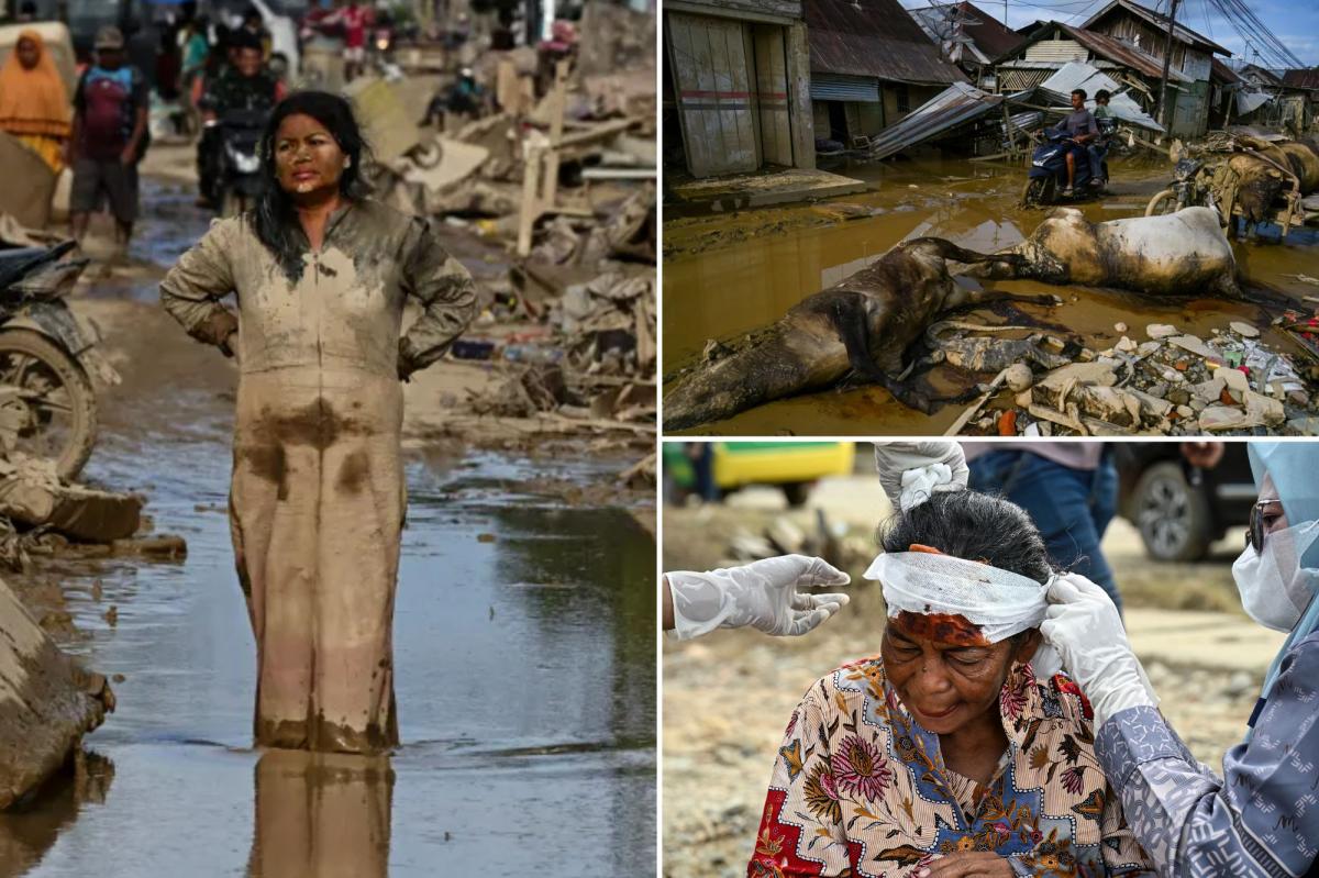 Indonesians seeking aid scramble over logs as flood deaths surpass 900